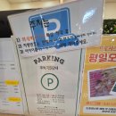 드포레스트_