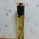 (주)산야초로 이미지