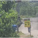 김석봉농장 네이버블로그