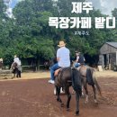 건우목장 | 제주 승마체험, 이색자전거 타기 목장카페 밭디