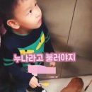 강아지 이모 이미지