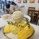 서마산시장 | [마산 석전동 16빙수]너무 맛있어서 재방문한 내돈내산 빙수맛집 생망고빙수 후기