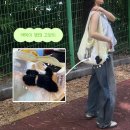 선물하기 좋은 키링 추천 29cm 액막이 명태 고양이 오너먼트 키링 | 집들이 선물받은 솔직후기