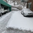 우리성모약국 이미지