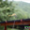왕사성산장