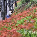 선암호수공원축구장(주말) 이미지