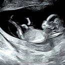 메디파크산부인과의원 이미지