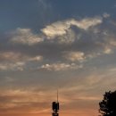 다모리네 이미지