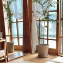 예래느랑 이미지