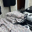 김창숙부띠끄 이미지