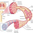 휘트니스W 이미지