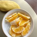 슈퍼센세이션 | 롯데마트 메가통큰 역대급 통큰데이 전단 쇼핑후기