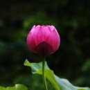 예일한의원 이미지