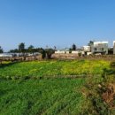 남원읍-42 이미지