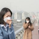 에스짐(학동점) 이미지