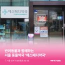 에스메디약국 이미지