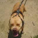 체력단련 이미지