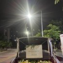 아우디플라워