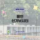 샌 | [용인_신기낚시터] 붕어낚시터 (feat. 잡아서 꼴딱 밤샌 후기)