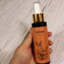 리프레쉬독 이미지