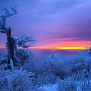 라스베가스당구장 이미지