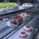 보노 | [부산대] 부산대 또간집 보노베리 후기... 부산 최고의 타르트집 🥳