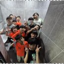 강철태권도 이미지