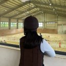 상주국제승마장 | 상주국제승마장 | 상주 여행 가볼만한 곳 승마체험 말 먹이주기 가격 시간 후기