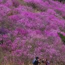 오산회 125회 밀양 종남산 산행 (2020.4.5)-2 이미지