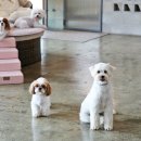 멍스테이션 이미지