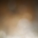 어흥어흥 이미지