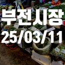 부전농수산물새벽시장 | 부전시장 가격 25년3월11일 기준 과일 야채 계란 고기 생선 조개 등 시세 물가 시장구경 장가네 김밥...