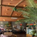 주례동 젤르커피 앞 | 부산 사상구 카페반미콩 방문 후기 🌿 따뜻한 분위기 속 베트남 반미 한 끼