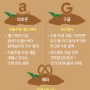 더남테크 이미지