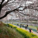 삼정그린코아 앞 이미지