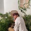 I.M 이미지