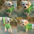 엘제이에이치 이미지