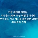 내안의숲 이미지