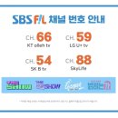 사월애 이미지