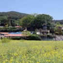 신풍리마을회관 이미지