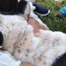 원무역상사 이미지