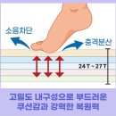 ♡오송역 파라곤 센트럴시티3차 맘스리치매트 시공했어요♡