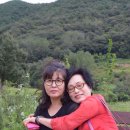 위양지 관광농원 이미지