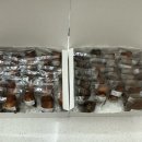 라파스디저트
