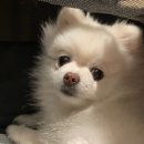 라이브8번가
