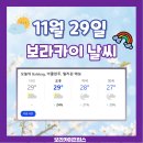 보라카이프린스 이미지