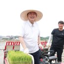모내기국수