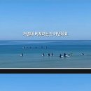 양양에 간 한 외국인의 의문 이미지