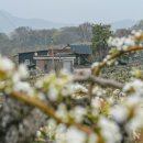 이화1길 이미지