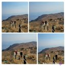 마운틴축산 이미지